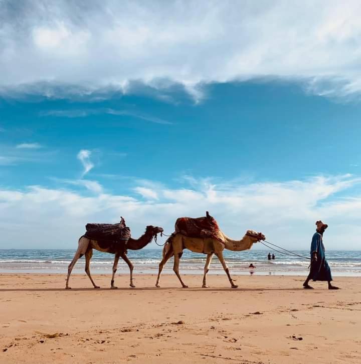 Travel Surf Nature Tamraght Экстерьер фото